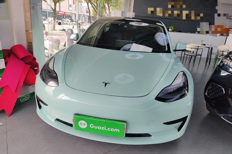 Tesla Model 3 2021 car image #3
