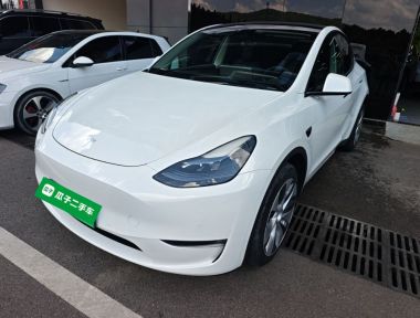 Tesla Model Y 2023 Tesla Model Y 2023 car image