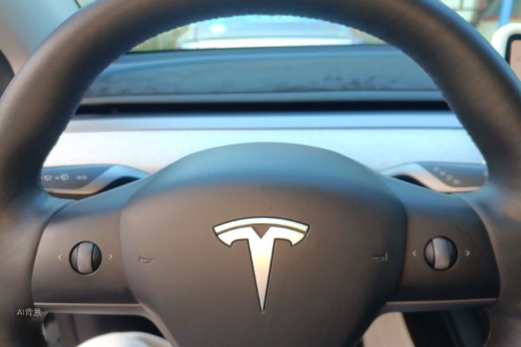 Tesla Model Y 2023 car image #13