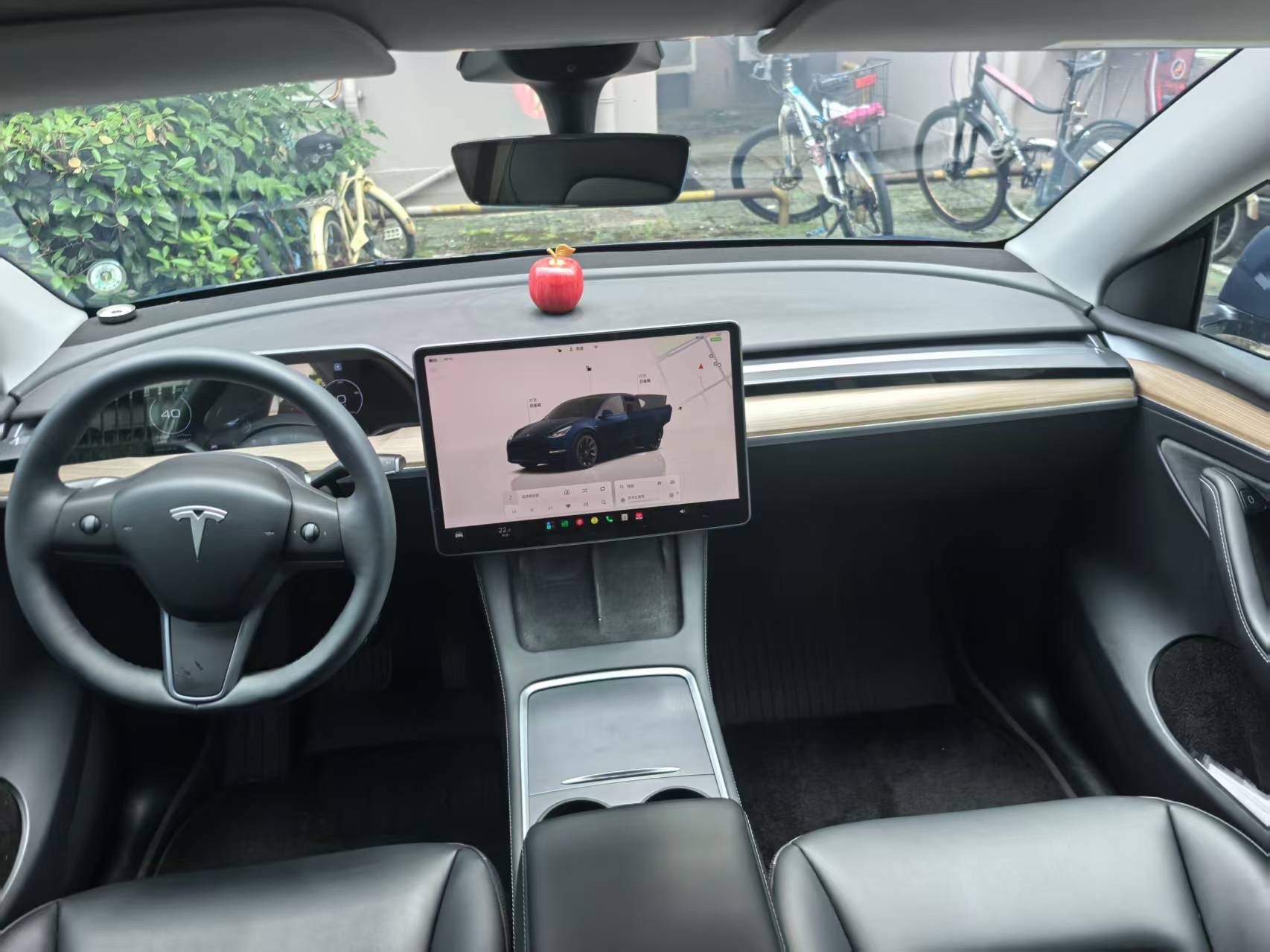 Tesla Model Y 2022 car image #4