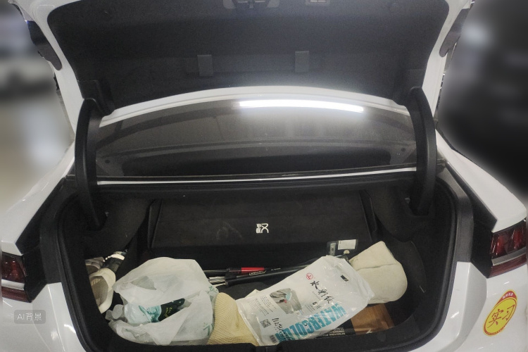 BYD Han 2021 imagen de coche #21