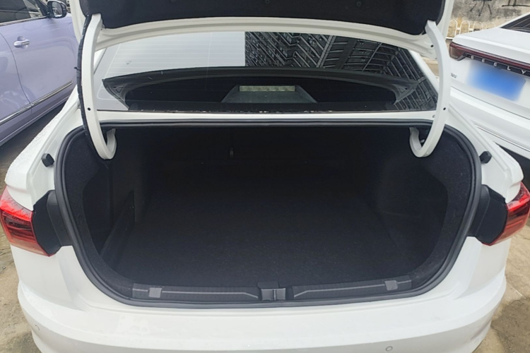 Volkswagen Bora 2020 car image #19