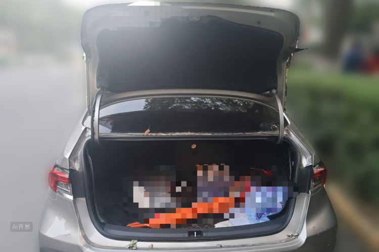 Toyota Corolla 2022 car image #21