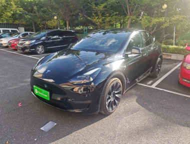 Tesla Model Y 2021 Tesla Model Y 2021 car image