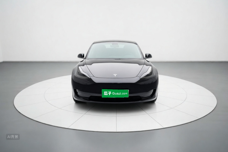 Tesla Model 3 2020 immagine di auto #3