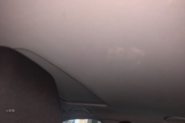 Volkswagen Polo 2014 car image #20