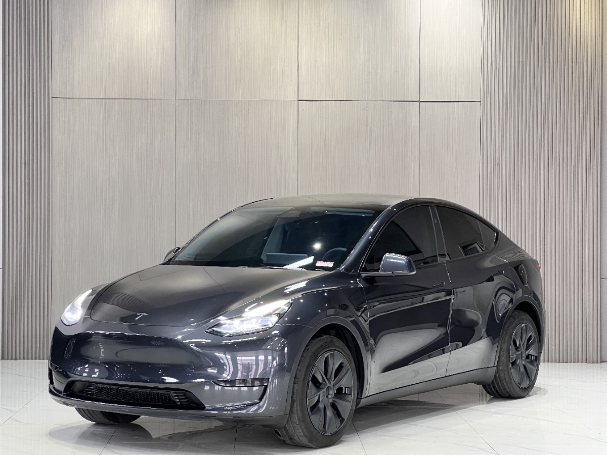 Tesla Model Y 2025 Tesla Model Y 2025 car image