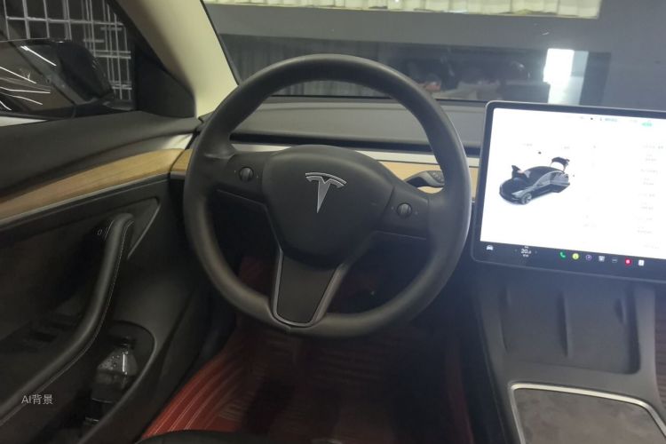 Tesla Model 3 2021 #12 Tesla Model 3 2021 car image #12