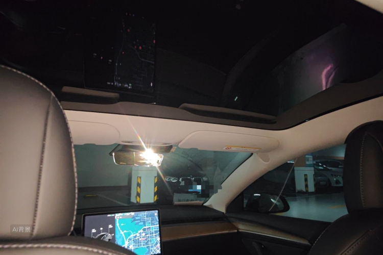 Tesla Model 3 2021 car image #20