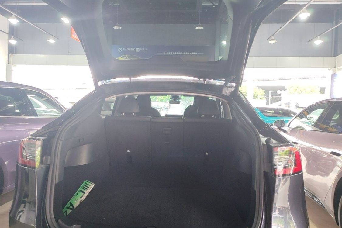Tesla Model Y 2024 car image #10