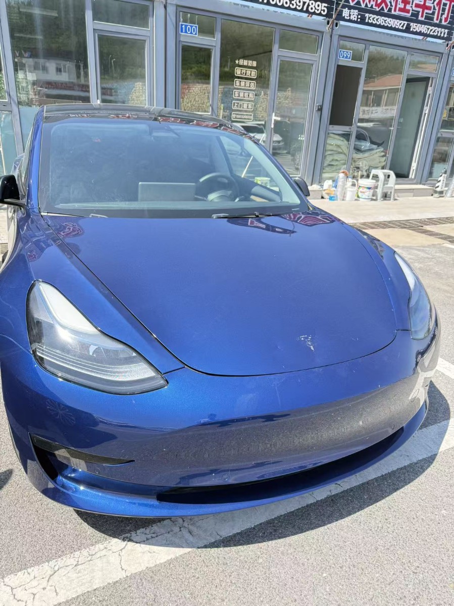 Tesla Model 3 2022 Tesla Model 3 2022 car image