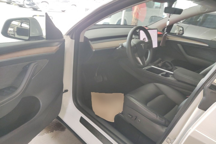 Tesla Model Y 2021 car image #16