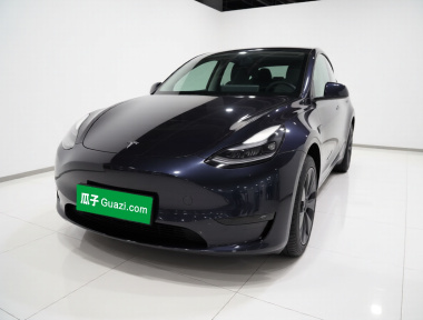 Tesla Model Y 2024 Tesla Model Y 2024 car image