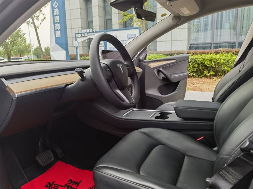 Tesla Model Y 2021 #6 Tesla Model Y 2021 immagine di auto #6