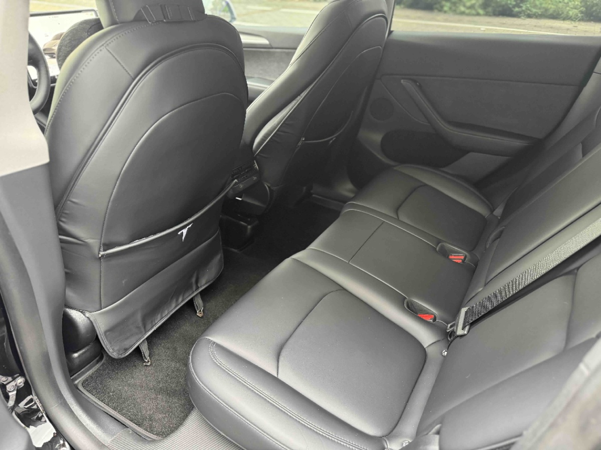 Tesla Model Y 2024 car image #6