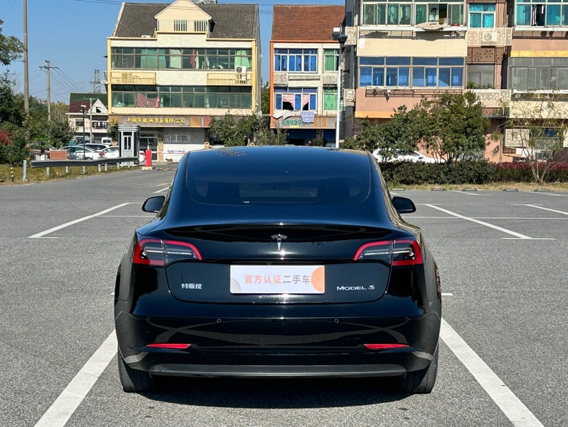 Tesla Model 3 2021 #5 Tesla Model 3 2021 car image #5