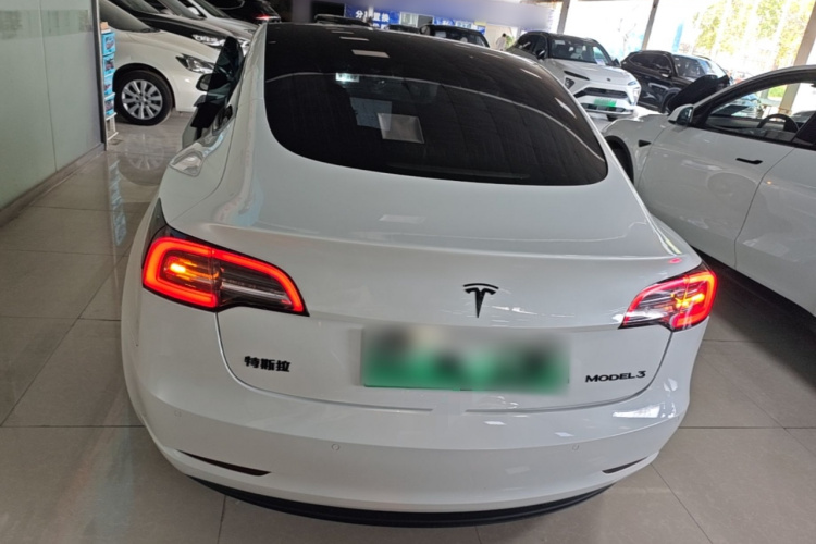 Tesla Model 3 2020 #6 Tesla Model 3 2020 car image #6