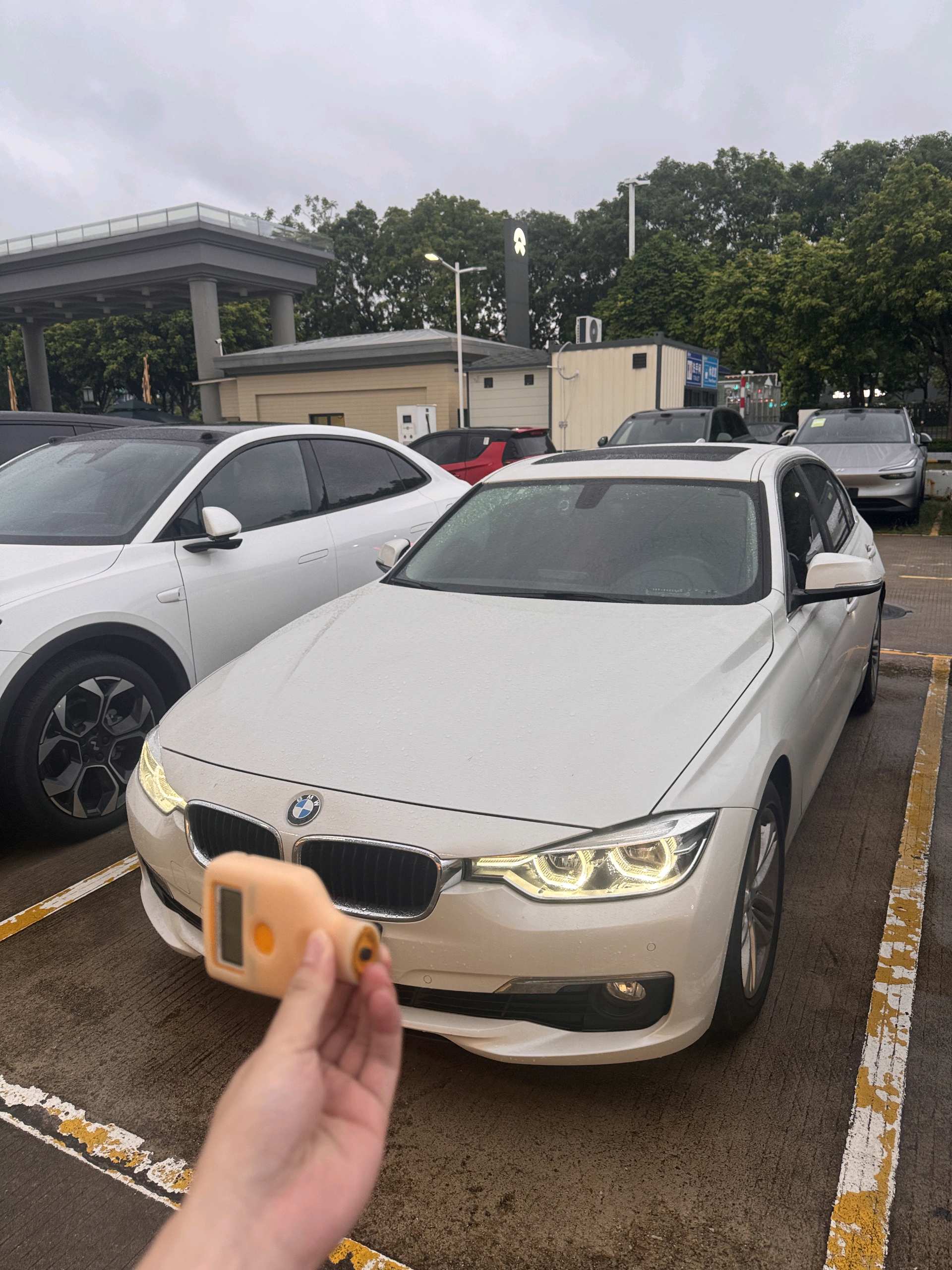 BMW 3 Series 2016 BMW 3 Series 2016 car image