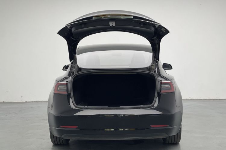 Tesla Model 3 2021 car image #26