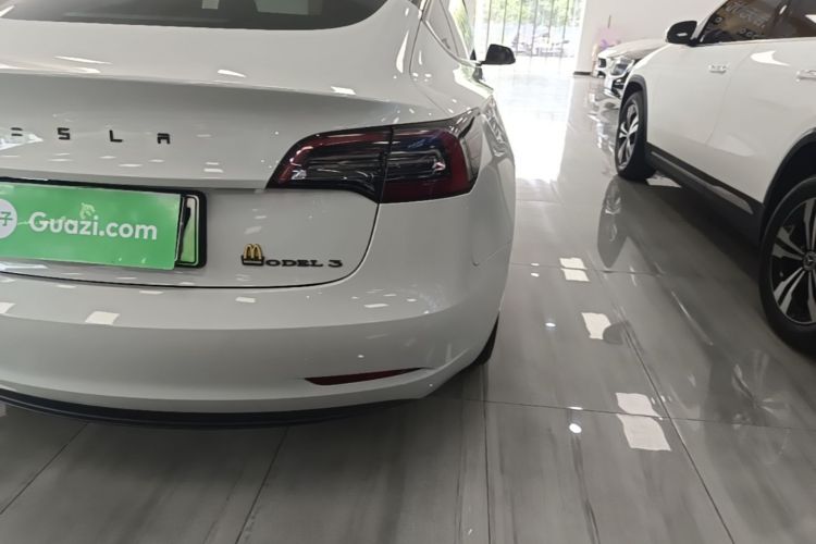 Tesla Model 3 2021 #8 Tesla Model 3 2021 car image #8