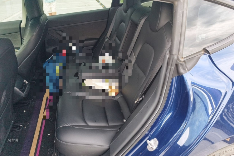 Tesla Model 3 2021 car image #19