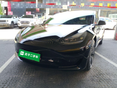 Tesla Model 3 2022 Tesla Model 3 2022 car image