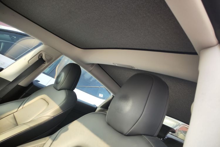 Tesla Model 3 2021 immagine di auto #18