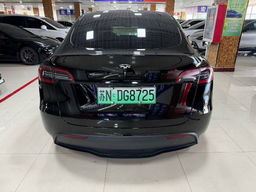 Tesla Model Y 2023 car image #10