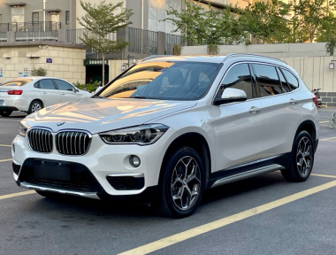 BMW X1 2019 BMW X1 2019 car image