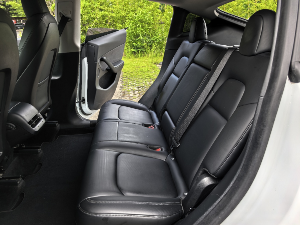 Tesla Model Y 2021 car image #8
