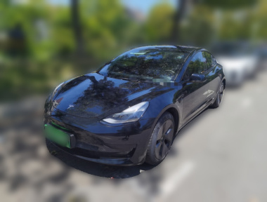 Tesla Model 3 2022 car image 