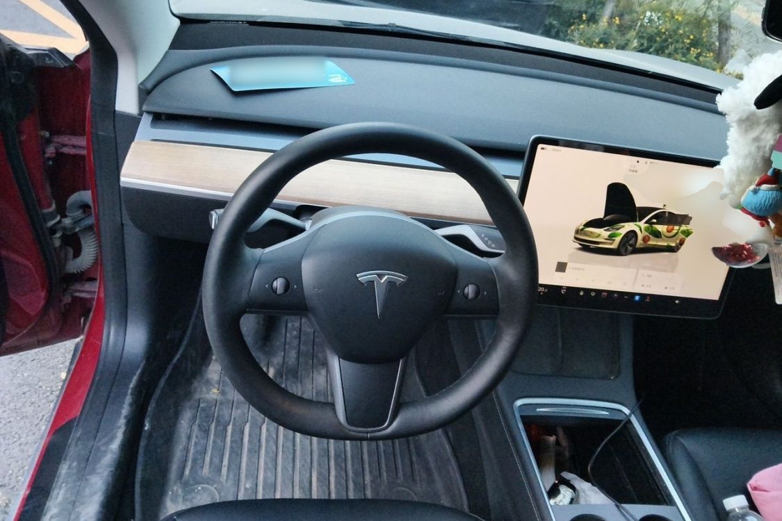 Tesla Model 3 2022 #22 Tesla Model 3 2022 car image #22