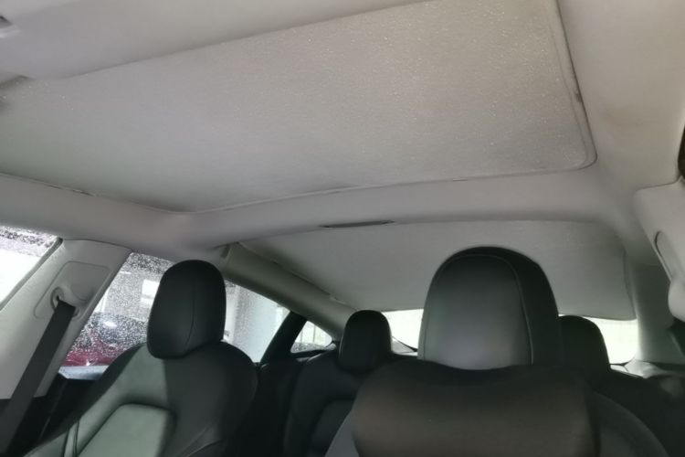 Tesla Model 3 2020 car image #18