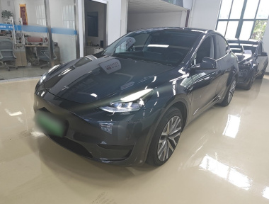 Tesla Model Y 2024 car image 