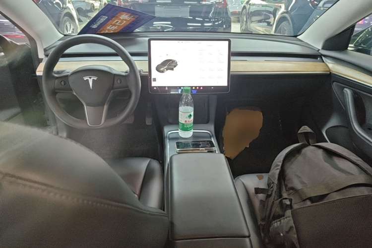 Tesla Model 3 2021 car image #10