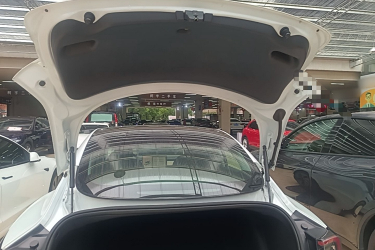 Tesla Model 3 2021 #19 Tesla Model 3 2021 car image #19