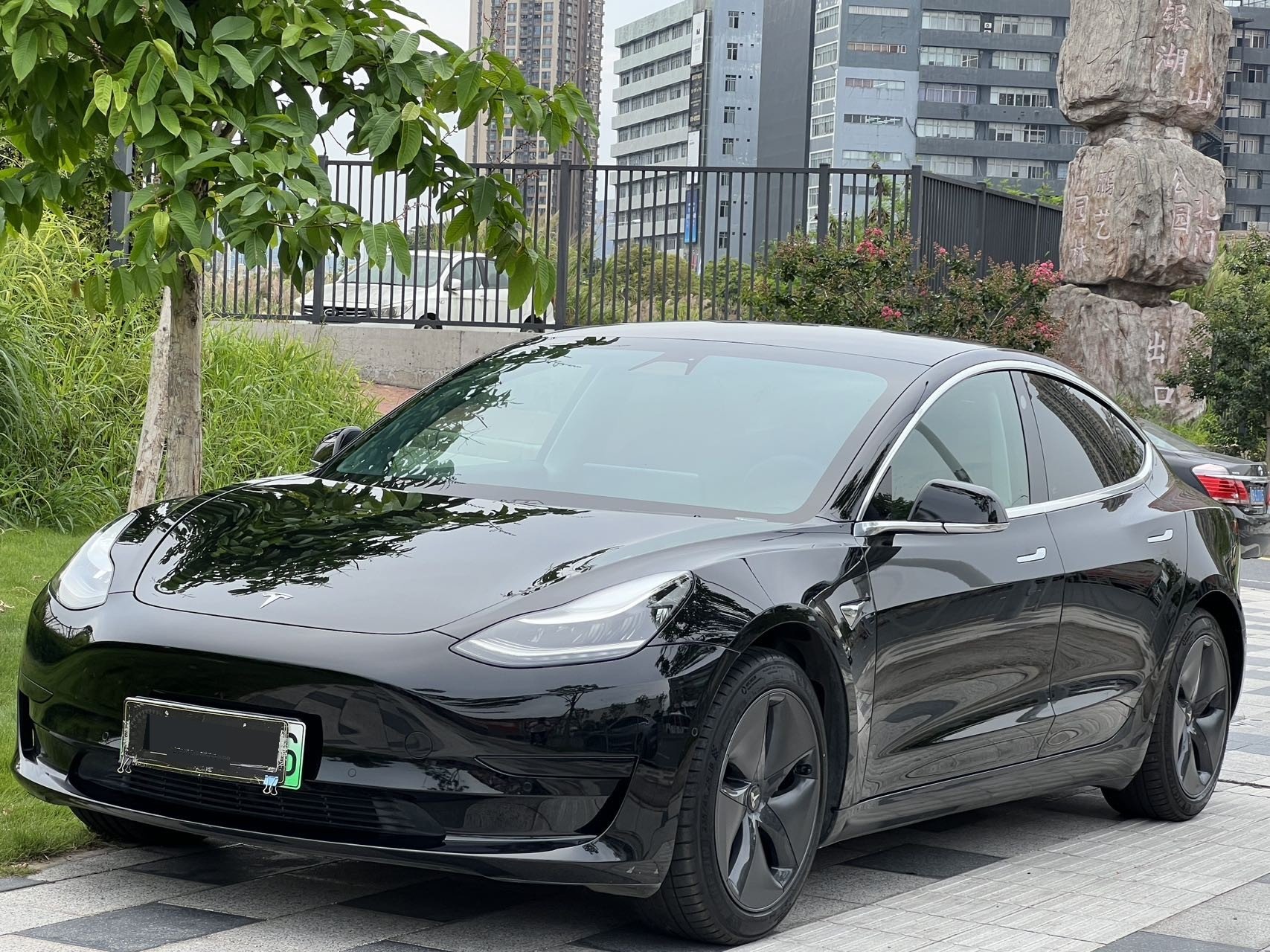 Tesla Model 3 2020 Tesla Model 3 2020 car image
