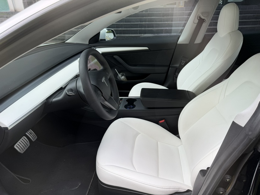 Tesla Model 3 2021 immagine di auto #2