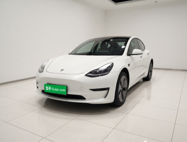 Tesla Model 3 2020 Tesla Model 3 2020 car image