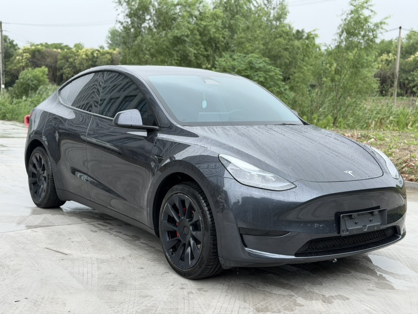 Tesla Model Y 2024 car image 