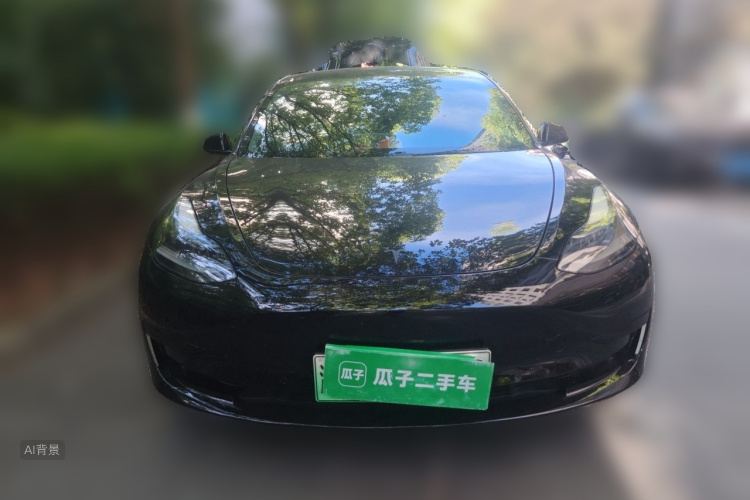 Tesla Model 3 2021 #3 Tesla Model 3 2021 car image #3