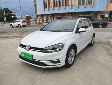 Volkswagen Golf 2019 Volkswagen Golf 2019 car image