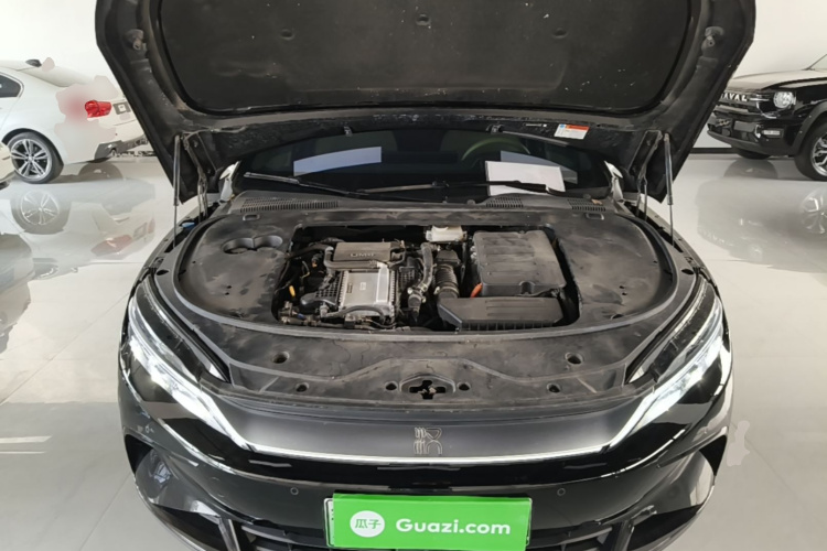 BYD Han 2024 car image #20
