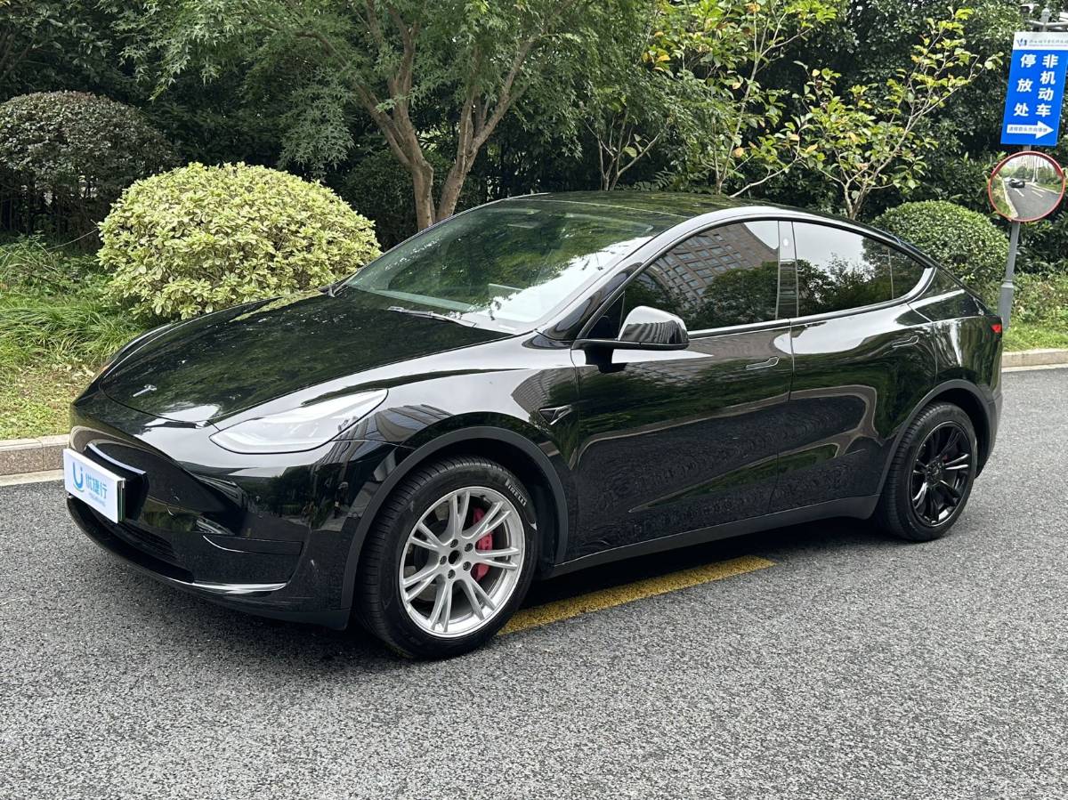 Tesla Model Y 2023 immagine di auto 