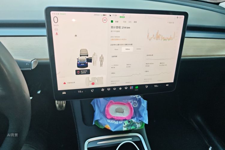 Tesla Model Y 2021 car image #15