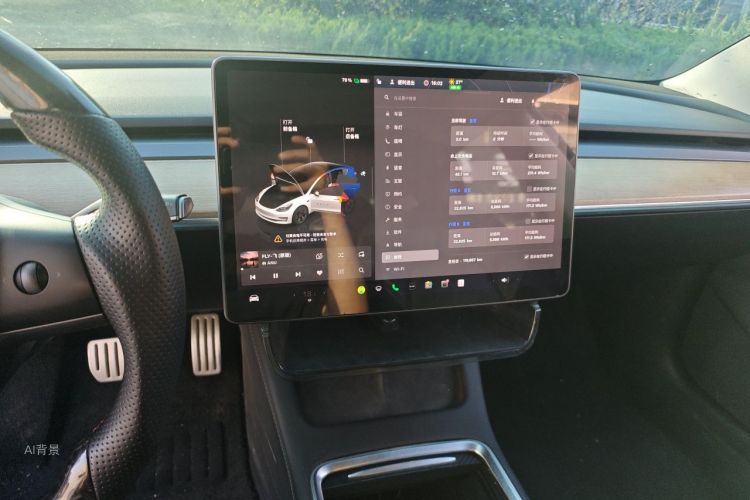 Tesla Model 3 2022 car image #15