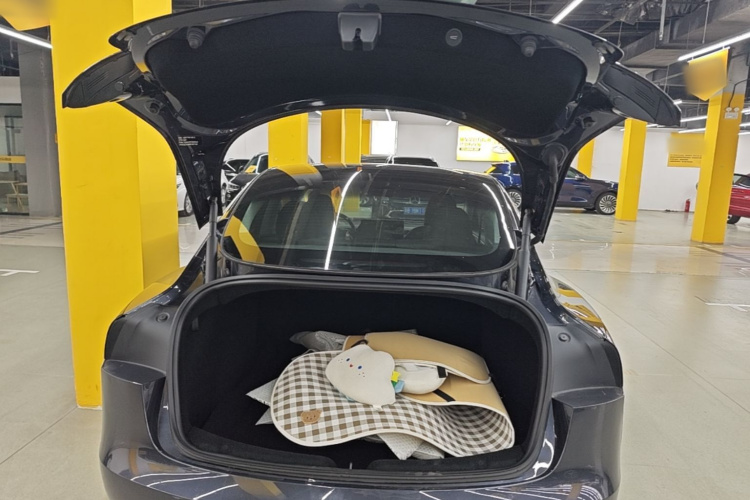 Tesla Model 3 2024 #19 Tesla Model 3 2024 car image #19