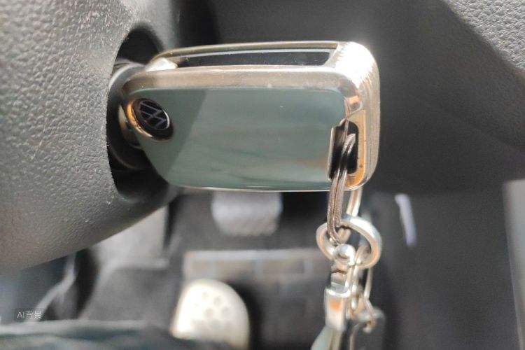 Volkswagen Polo 2021 car image #10