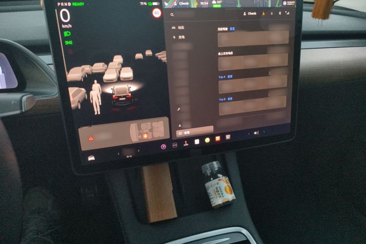 Tesla Model Y 2021 car image #15