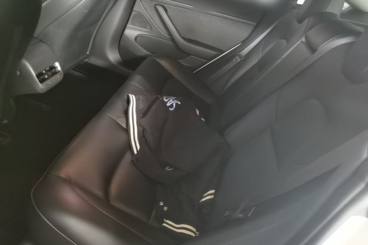 Tesla Model 3 2020 immagine di auto #17